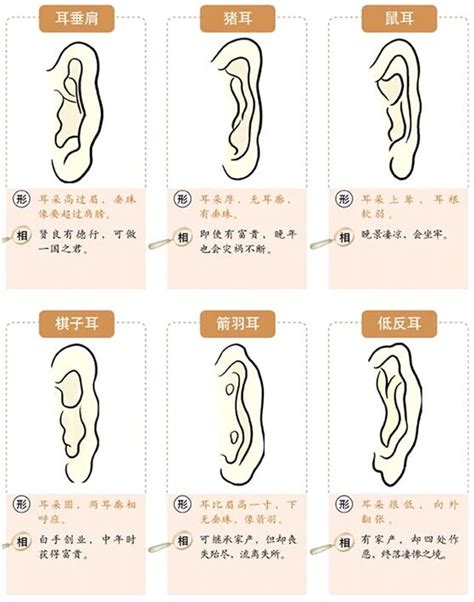 耳垂有線面相|面相耳朵图解【最详细版】 – 杨易德全集官网